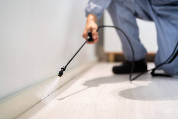 Licensed Exterminator service in Litchfield, IL - Show Me Pest Control
